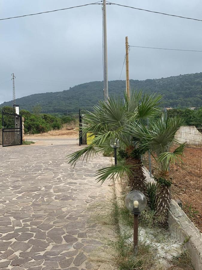 B&B Due Coste Porto Conte Exterior foto